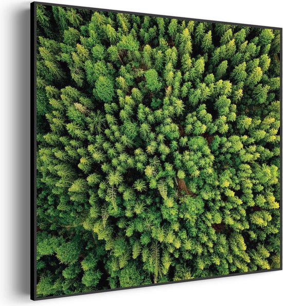 Akoestisch Schilderij Het groene bos Vierkant Pro XXL (140 X 140 CM) - Akoestisch paneel - Akoestische Panelen - Akoestische wanddecoratie - Akoestisch wandpaneel