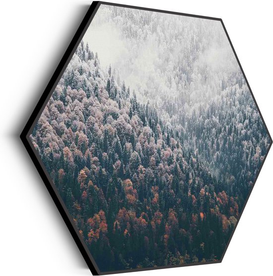 Akoestisch Schilderij Van herfst naar winter Hexagon Basic XL (140 X 121 CM) - Akoestisch paneel - Akoestische Panelen - Akoestische wanddecoratie - Akoestisch wandpaneel