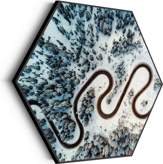 Akoestisch Schilderij Weg door een witte wereld Hexagon Basic XL (140 X 121 CM) - Akoestisch paneel - Akoestische Panelen - Akoestische wanddecoratie - Akoestisch wandpaneel