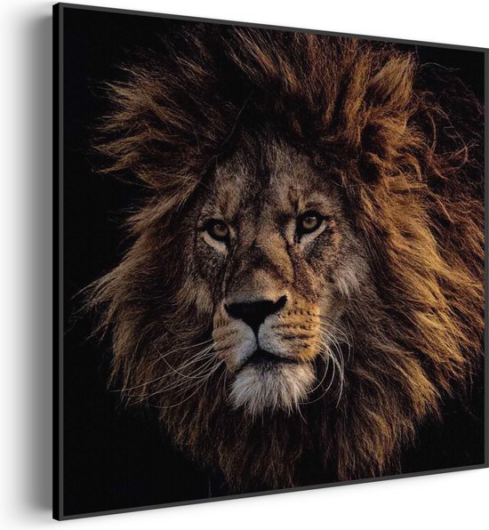 Akoestisch Schilderij The Lion Vierkant Basic L (80 X 80 CM) - Akoestisch paneel - Akoestische Panelen - Akoestische wanddecoratie - Akoestisch wandpaneel