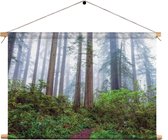 Textielposter Sequoia bos Rechthoek Horizontaal XXL (85 X 120 CM) - Wandkleed - Wanddoek - Wanddecoratie