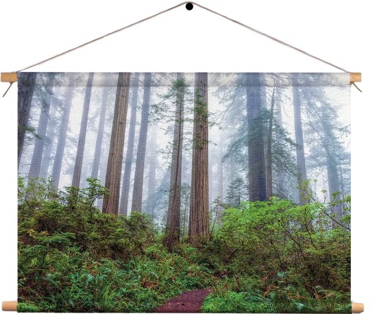 Textielposter Sequoia bos Rechthoek Horizontaal XXL (85 X 120 CM) - Wandkleed - Wanddoek - Wanddecoratie