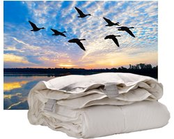 iSleep Donzen 4-Seizoenen Dekbed - 100% Eendendons - Tweepersoons - 200x200 cm