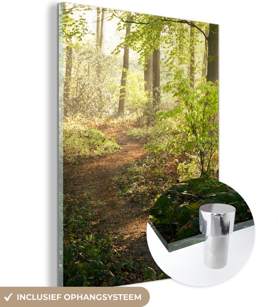 MuchoWow® Glasschilderij 90x120 cm - Schilderij acrylglas - Bos - Bomen - Pad - Zon - Planten - Bladeren - Natuur - Foto op glas - Schilderijen