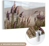 MuchoWow® Glasschilderij 40x20 cm - Schilderij acrylglas - Pampasgras - Zand - Planten - Duin - Foto op glas - Schilderijen