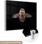 MuchoWow® Glasschilderij 40x30 cm - Schilderij acrylglas - Bij op zwarte achtergrond - Foto op glas - Schilderijen