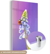 MuchoWow® Glasschilderij 120x180 cm - Schilderij acrylglas - Lieveheersbeestje op een muscari bloem - Foto op glas - Schilderijen