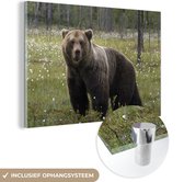 MuchoWow® Glasschilderij 180x120 cm - Schilderij acrylglas - Bruine beer in het bos - Foto op glas - Schilderijen