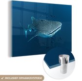 MuchoWow® Glasschilderij 120x80 cm - Schilderij acrylglas - Een walvishaai met stippen - Foto op glas - Schilderijen