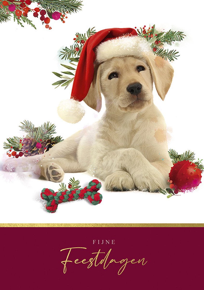 Kaarten - Kerst - Christmas companions - CA.0003