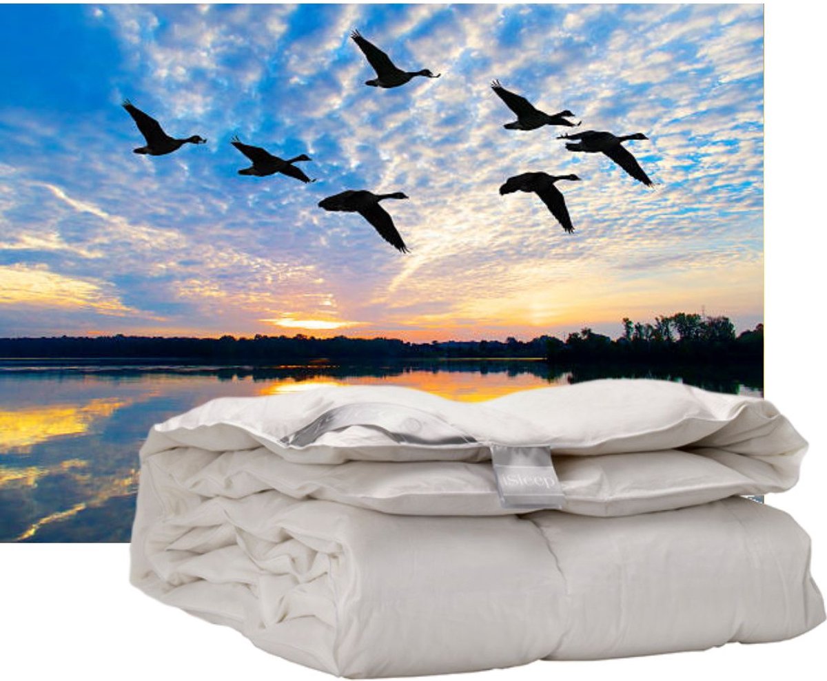 iSleep Donzen Dekbed - Enkel - 100% Dons (Warmteklasse 2) - Tweepersoons - 200x200 cm