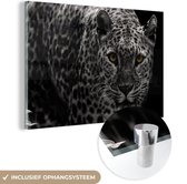 MuchoWow® Glasschilderij 120x80 cm - Schilderij acrylglas - Zwart-wit foto van een gekleurde luipaard - Foto op glas - Schilderijen