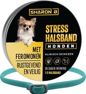 Feromonen halsband hond Turquoise - Voor kleine hondjes - Nek omvang max 38 cm - met geruststellende feromonen - Kalmerend en ontspannend - anti stress hond - kalmerend en rustgevend - tegen stress, angst en agressie bij honden