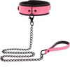 Collar and Chain Leash