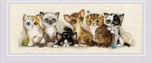 RIOLIS Kittens borduren (pakket) 2180