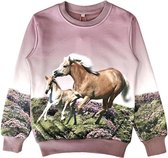 Kinder sweater, trui, met paarden print, oudroze, maat 110/116, horses, kind, ZEER MOOI!