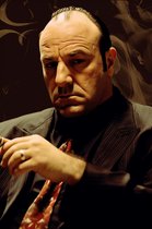 Tony Soprano Poster | The Sopranos Poster | HBO | Abstract Portret | James Gandolfini | Filmposter | 51x71cm | Wanddecoratie | Muurposter | AZ | Geschikt om in te lijsten