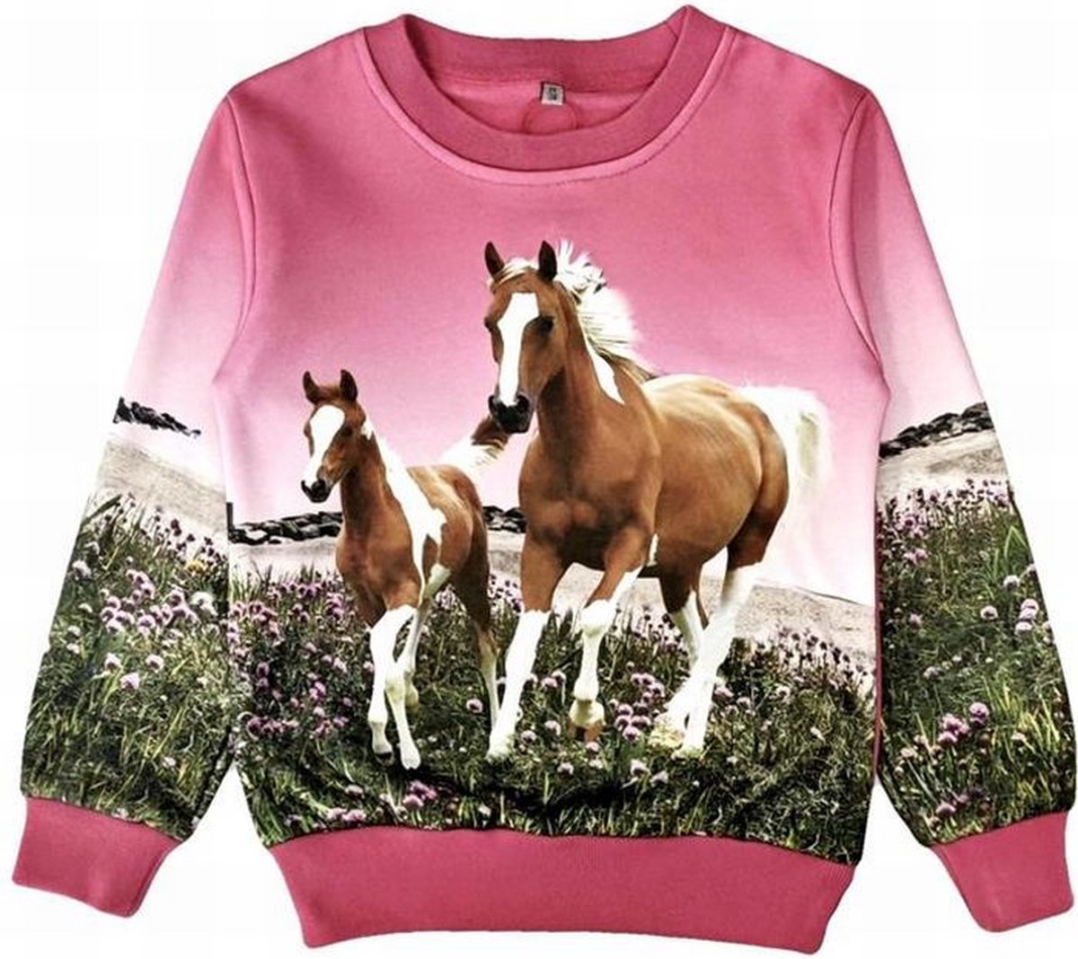 Kleding Meisjes Met Paarden Baddery Paarden Trui Meisjes My