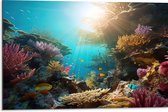 Dibond - Onderwater - Oceaan - Zee - Koraal - Vissen - Kleuren - Zon - 75x50 cm Foto op Aluminium (Wanddecoratie van metaal)