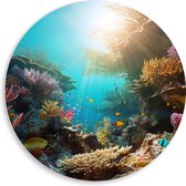 PVC Schuimplaat Muurcirkel - Onderwater - Oceaan - Zee - Koraal - Vissen - Kleuren - Zon - 50x50 cm Foto op Muurcirkel (met ophangsysteem)