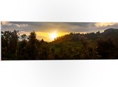 PVC Schuimplaat - Zon - Zonsondergang - Bloemen - Bomen - Berg - 90x30 cm Foto op PVC Schuimplaat (Met Ophangsysteem)