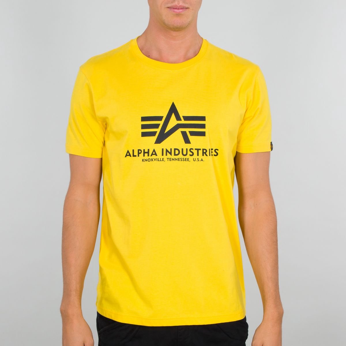 Alpha Industries Basic T-Shirt Empire Yellow-S