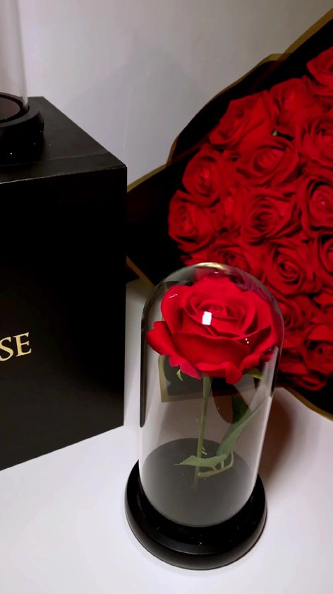 La Rose Rode Roos in Glazen Stolp – Eeuwige Roos voor Cadeau – Kunstbloemen, Kunstrozen & Zijden Bloemen – Cadeau voor Vrouw, Vriendin of Moeder – Woondecoratie & Cadeau voor Bruiloft