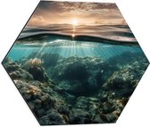 Dibond Hexagon - Zee - Koraal - Vissen - Water - Zon - 50x43.5 cm Foto op Hexagon (Met Ophangsysteem)