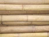 Bamboestok bamboepaal bamboestam Java Java ø 120-140mm Lengte 100cm