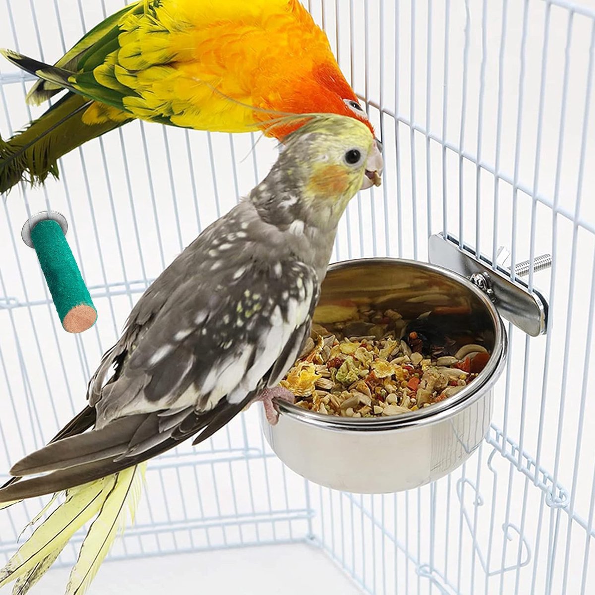 MANGEOIRE - TREMIE,S--Mangeoires à oiseaux en acier inoxydable, 1 pièce