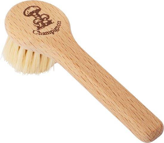 Brosse à champignons en hêtre