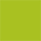 Creotime Textile Dye Basic 50 Ml Vert Kiwi