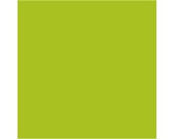 CC Creotime Textile Color Basic Kiwi 50ml
