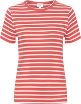 Saint Tropez AstaSZ SS Stripe T-Shirt Dames T-shirt - Maat XXL