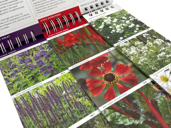 Tuinplantenkiezer op kleur