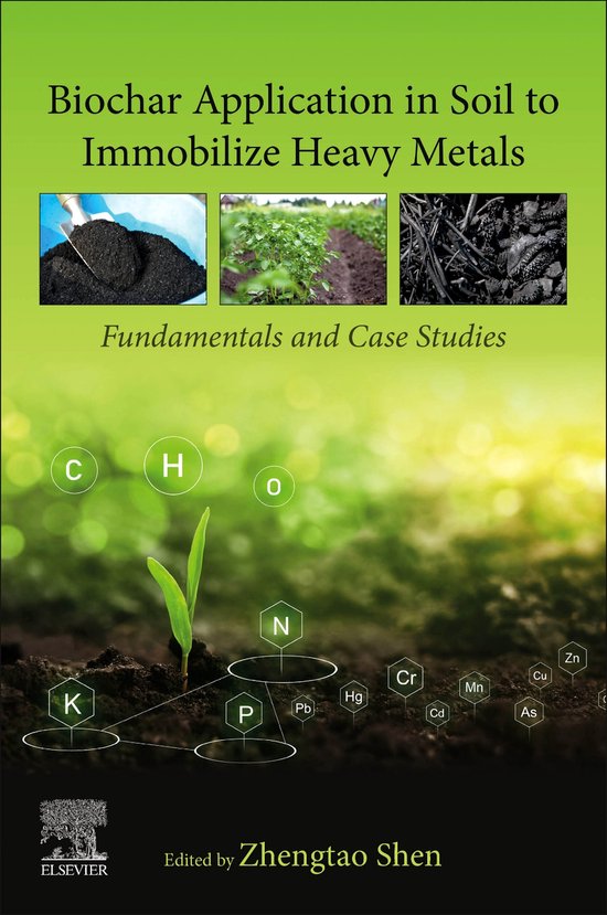 Biochar Application in Soil to Immobilize Heavy Metals - cover