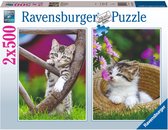 Puzzle Ravensburger Chatons 2 x 500 Pièces