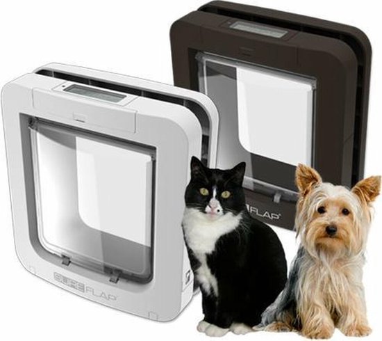 Witte en bruine microchip kattenluiken met naast hen een zwart-witte kat en een kleine hond.