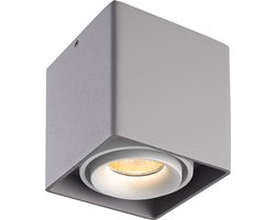 Dimbare LED Opbouwspot plafond Esto - Grijs met witte afdekring - IP20 - kantelbaar - 4W 2700K - voor droge ruimtes