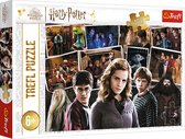 Trefl - Puzzles - "160" - Harry Potter and friends / Warner Harry Potter