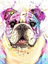 Diamond Painting — Bulldog — Hond — Muurdecoratie — Wanddecoratie — 30 x 40 cm — cadeau