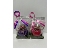 Wax amaryllis duo paars roze in geschenkverpakking - relatiegeschenk