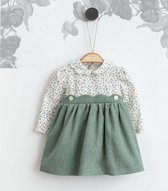 baby jurk - Meisjes kleding - groen/mix van kleur - Maat 80/ 1 jaar - bloemen