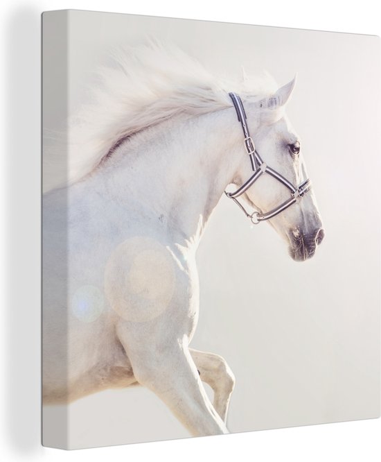 Canvas Schilderij Paard - Wit - Manen - 20x20 cm - Wanddecoratie