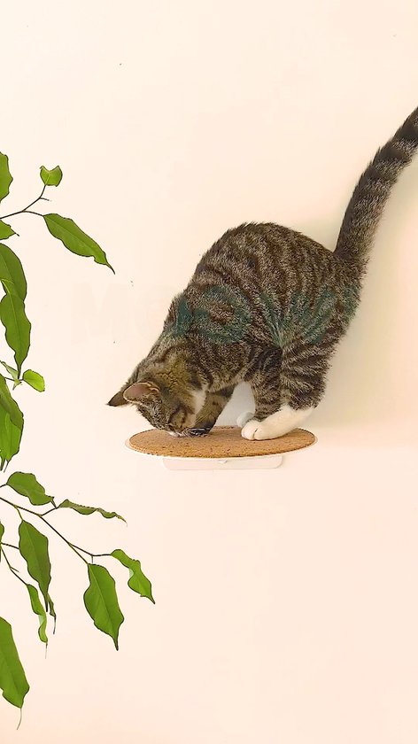 Moowi Wall Steps - 3 stuks -Zwart - Katten Klim Wand - Katten Muur - Plankjes - Kattenspeelgoed