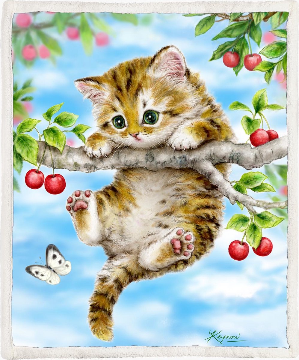 The Coloured House Katten Fleece Deken 130*150cm Cherry Kitten Multicolor