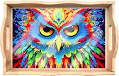 Adorzy Peinture de diamants Owl Tray – Peinture de diamants Adultes – Peinture de diamants Full Package – DIY Package
