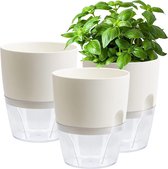 Lot de 3 pots à herbes aromatiques - Blanc - 15 cm - En plastique - Avec  système d'auto-arrosage et stockage d'eau - Pour cuisine, balcon, chambre à  coucher : : Jardin