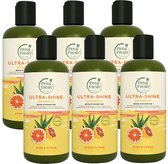 PETAL FRESH - Shampoo Aloe & Citrus - 6 Pak - Voordeelverpakking