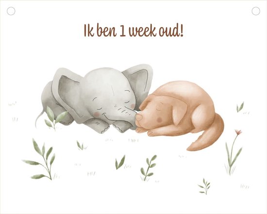 Mijn grote mijlpalenboek